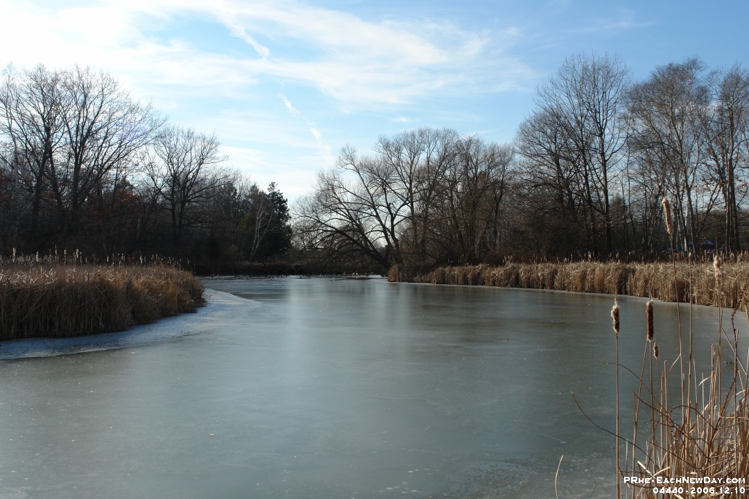 04440 - Photo expedition with Daniel at Lynde Shores Conservation Area